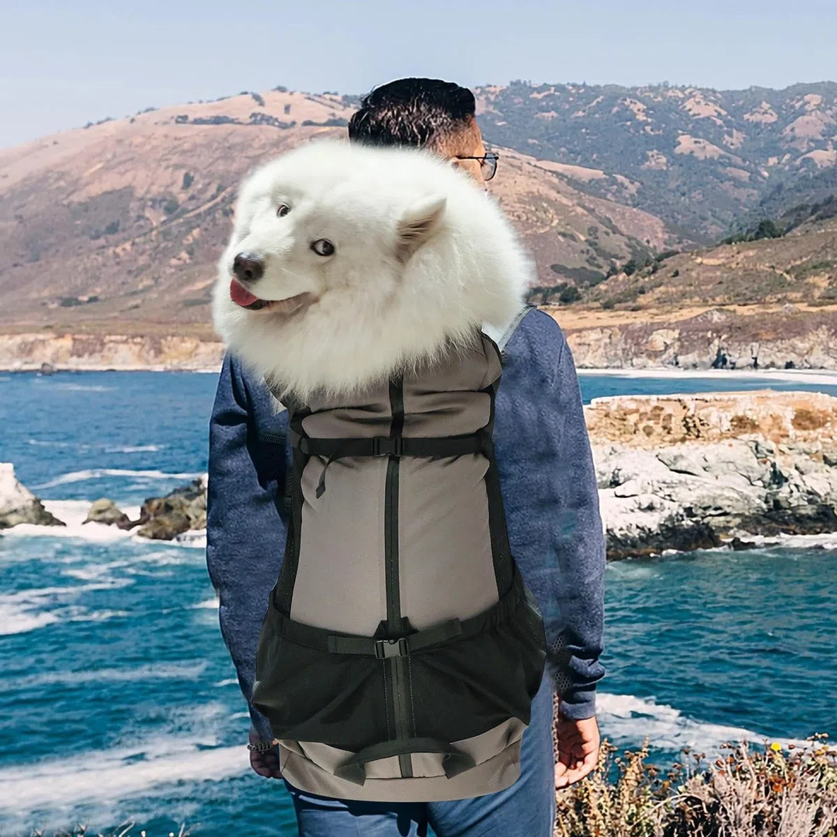 Mochila para Mascotas - Mochilas para Mascotas de Gran Capacidad | Mochilas para Mascotas Anti-, Mochila Multifuncional Perro Grande para Evitar el Cabello