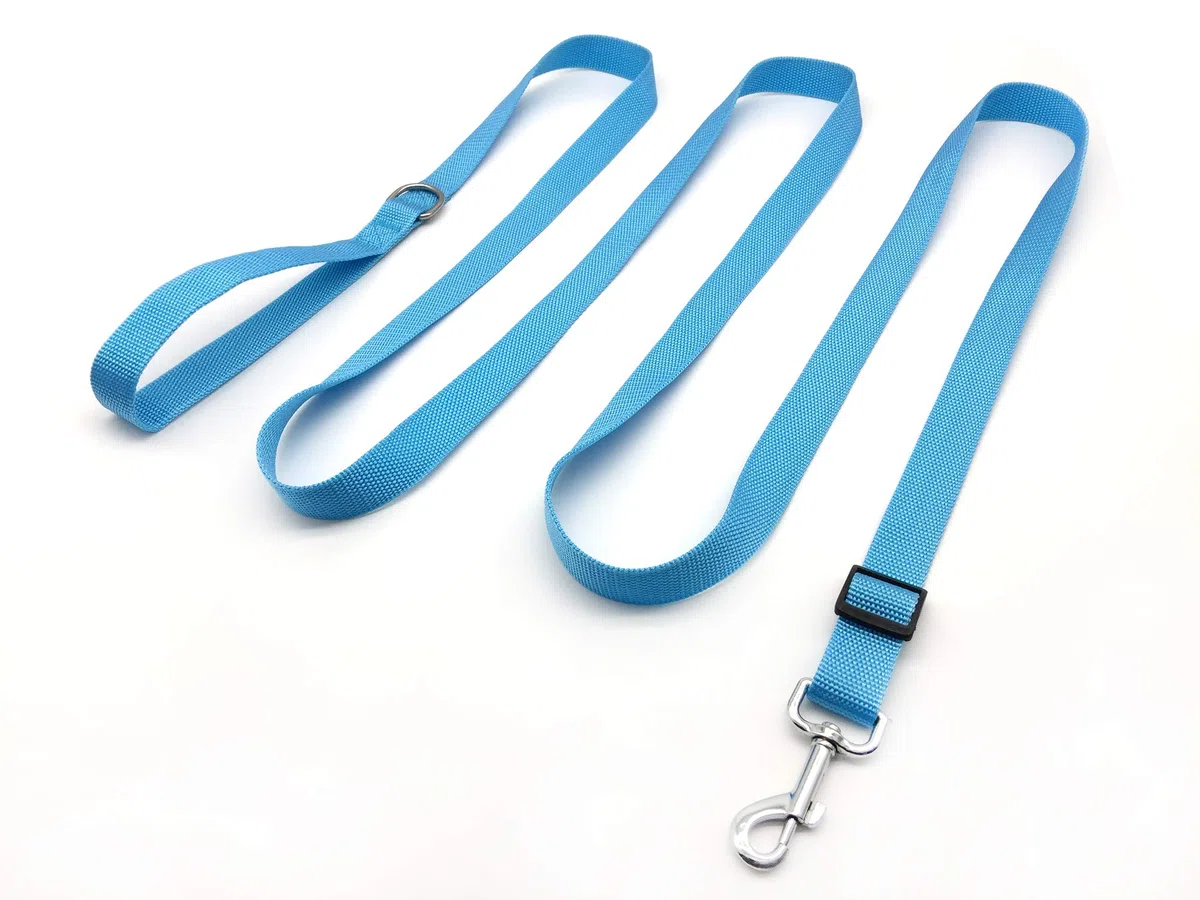 TAIAN Correa de nailon ajustable para perro, correas de perro de 10 pies de largo para perros medianos y grandes (azul)