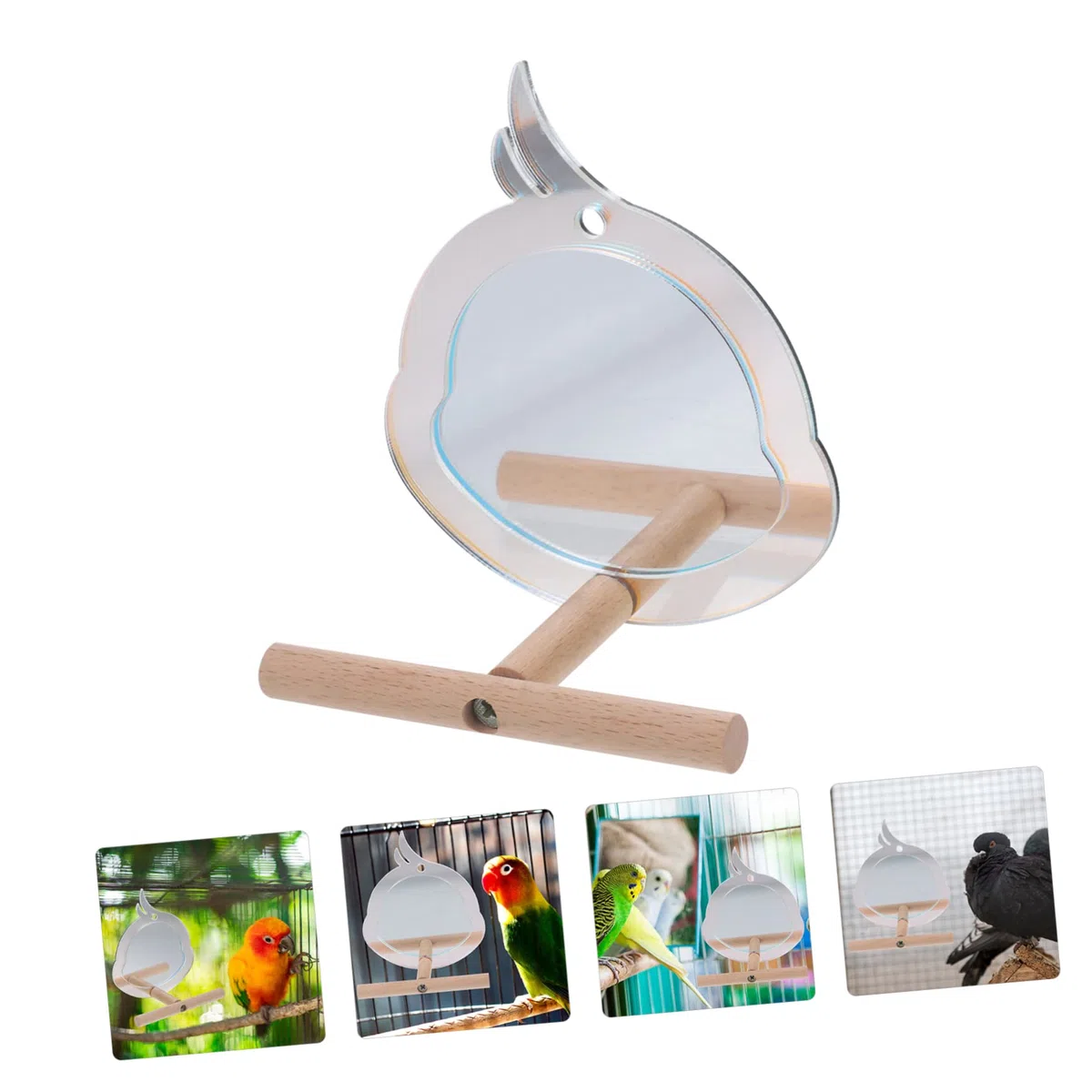 YARNOW 5piezas Perch para Aves Pequeñas Soporte Resistente para Periquitos y Juguete De Descanso y Ejercicio Diseño Chic Accesorio para Jaula De