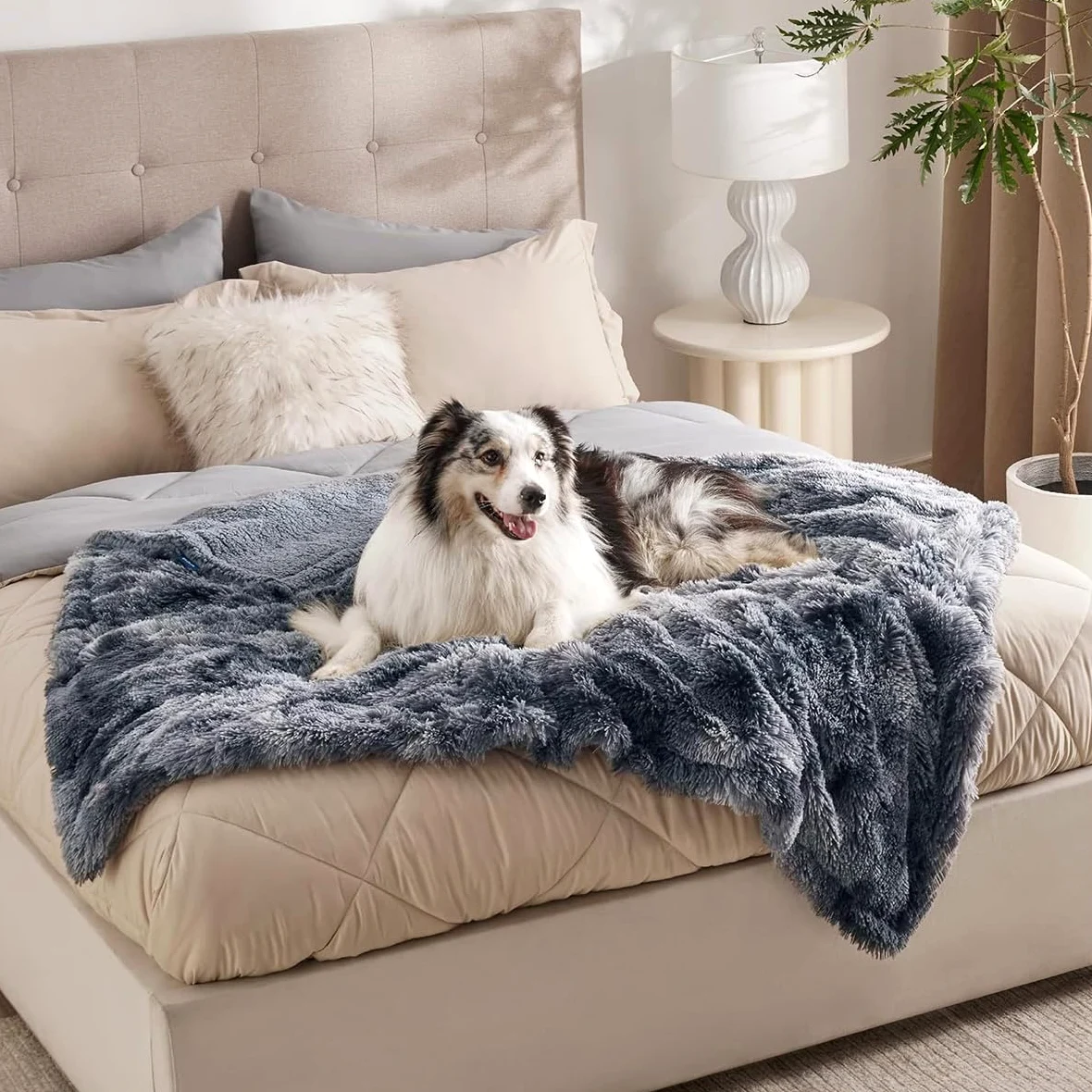 Mantas impermeables para perros, mantas grandes y medianas para cachorros, gatos, manta a prueba de fugas para protector de sofá cama, tapete térmico suave y cálido para dormir (negro, 145 x