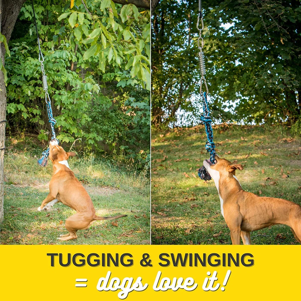 YES4QUALITY Poste de coqueteo para Perros, 2 Postes de Resorte duraderos con Juguete de Cuerda Fuerte, señuelo Resistente para Cualquier tamaño, Divertido Entrenamiento de obediencia y Ejercicio