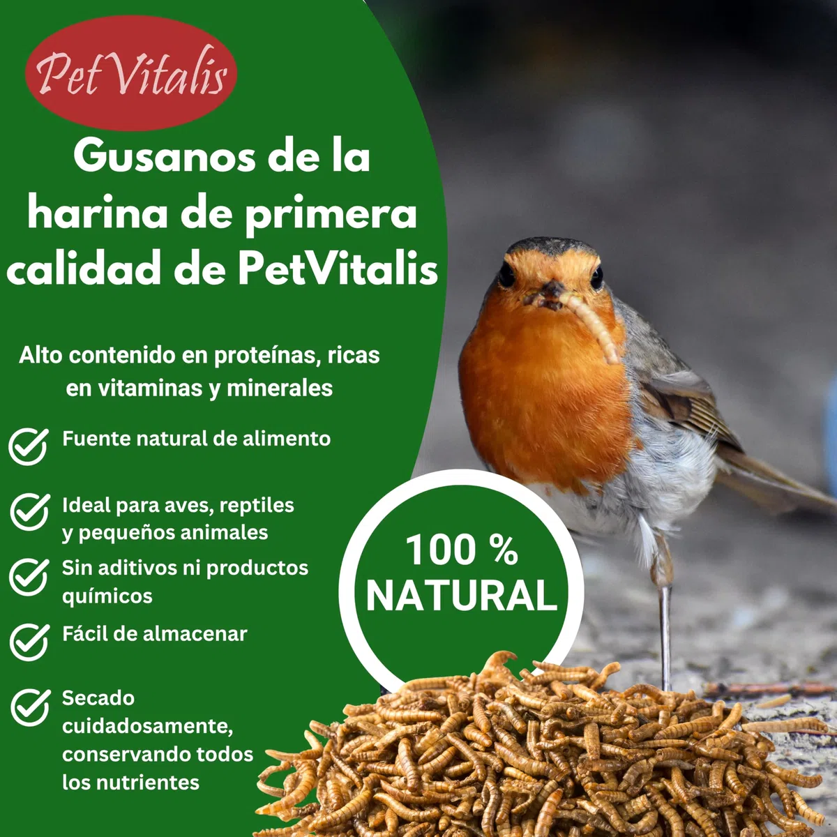 Gusanos de harina deshidratados: alimento Aves Silvestres, Snack Rico en proteínas para Peces, Reptiles y roedores, Ideal como complemento alimenticio Natural. (5 kg)