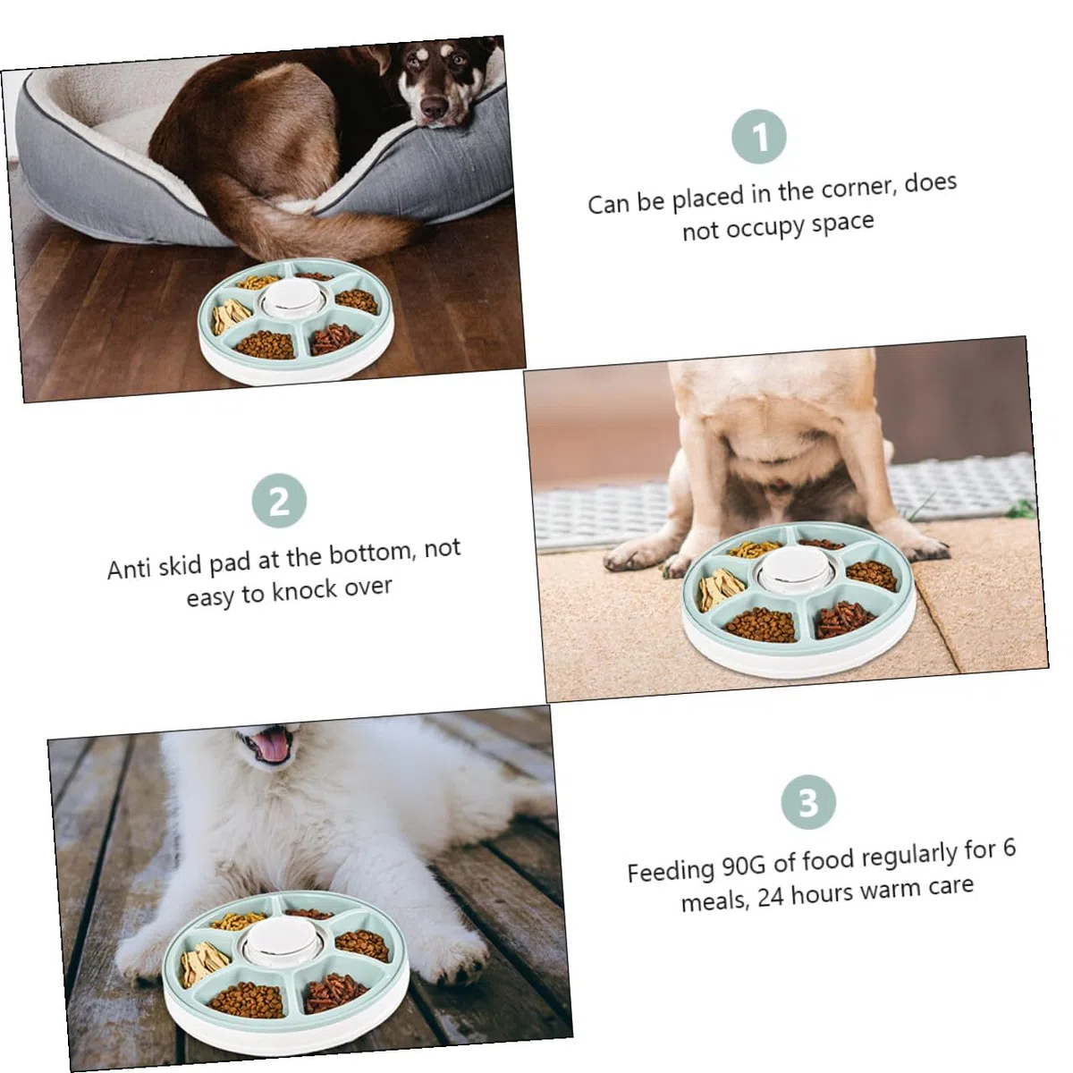 DOITOOL Comedero Automático para Perros con Temporizador, Seis Compartimentos ABS Antideslizante Comedero Mascotas