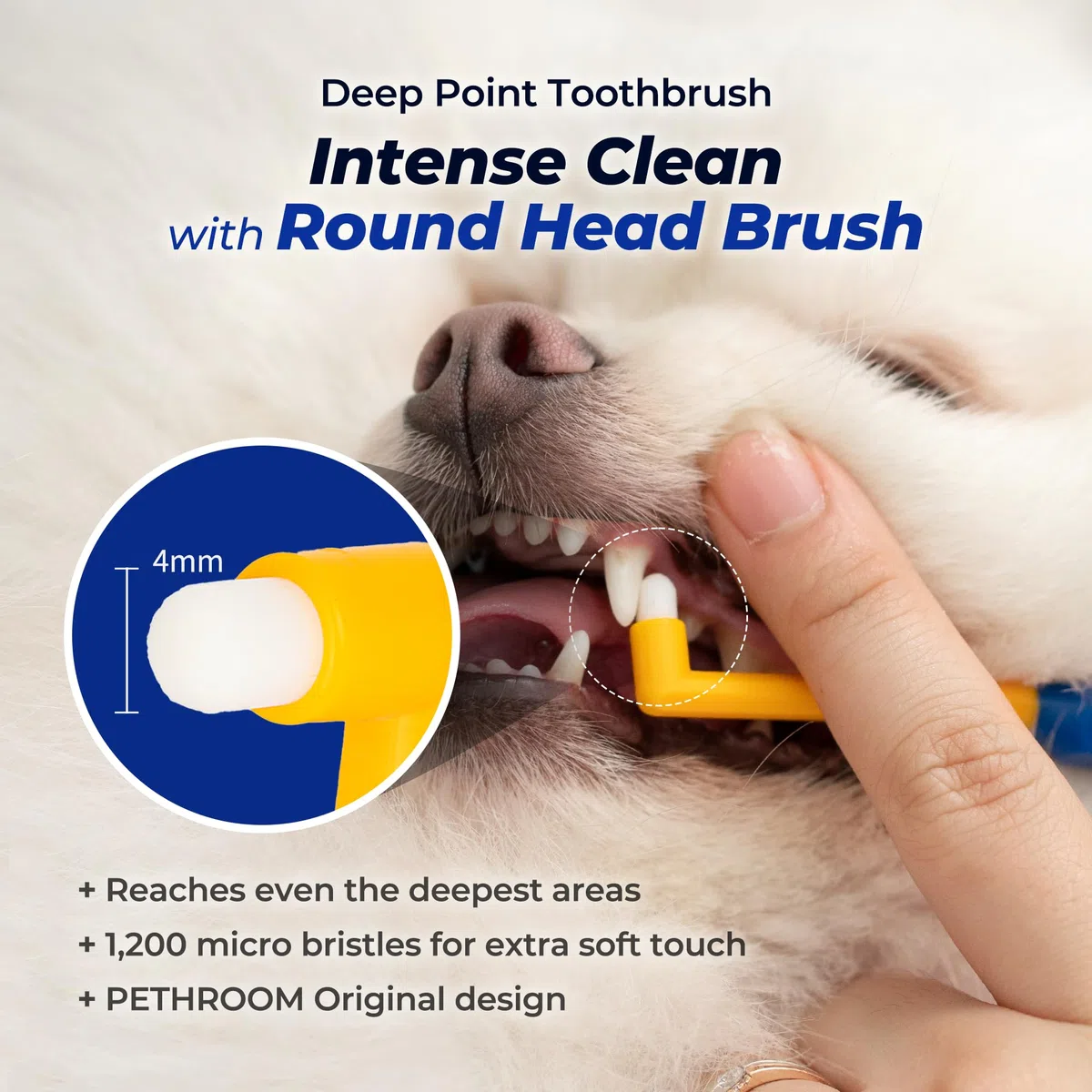 PETHROOM Sala de pesos, gatos, perros, cepillo de dientes, punta profunda, para control centralizado, cabeza redonda, ultraligero, eliminación segura del sarro, ultra pequeño, tamaño XS