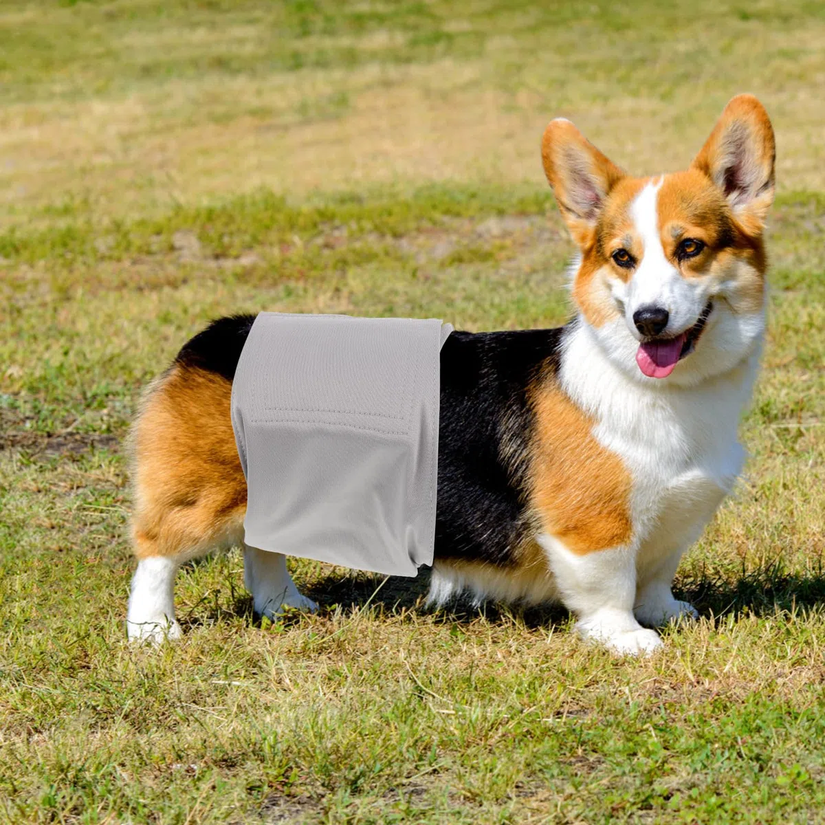 TOYANDONA 3 Piezas Pañales Lavables para Perros Reutilizables Unidades Banda Abdominal para Perros Machos Pañales Menstruales Hembras para Cachorros