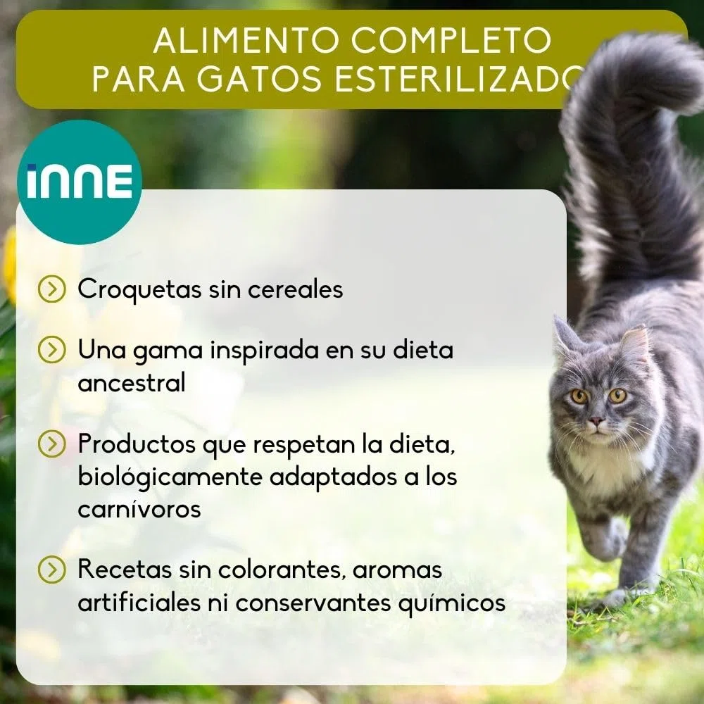 NUTRIVET - INNE Chat - Croquetas sin Cereales - Gato esterilizado o con sobrepeso - Pollo - 80% Ingredientes de Origen Animal - 6kg