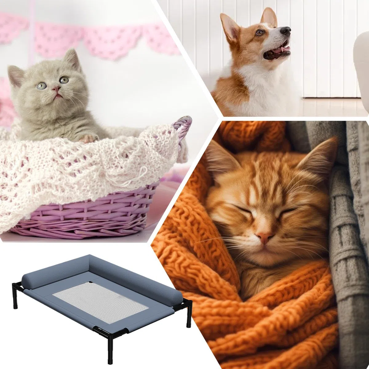 Camas para perros elevados - Cama para mascotas elevadas al aire libre con cojín y tejido de malla transpirable para la comodidad de enfriamiento | Muebles para perros lavables extraíbles para camping | Accesorios Para Mascotas Para Dormir, Jugar Y Descan