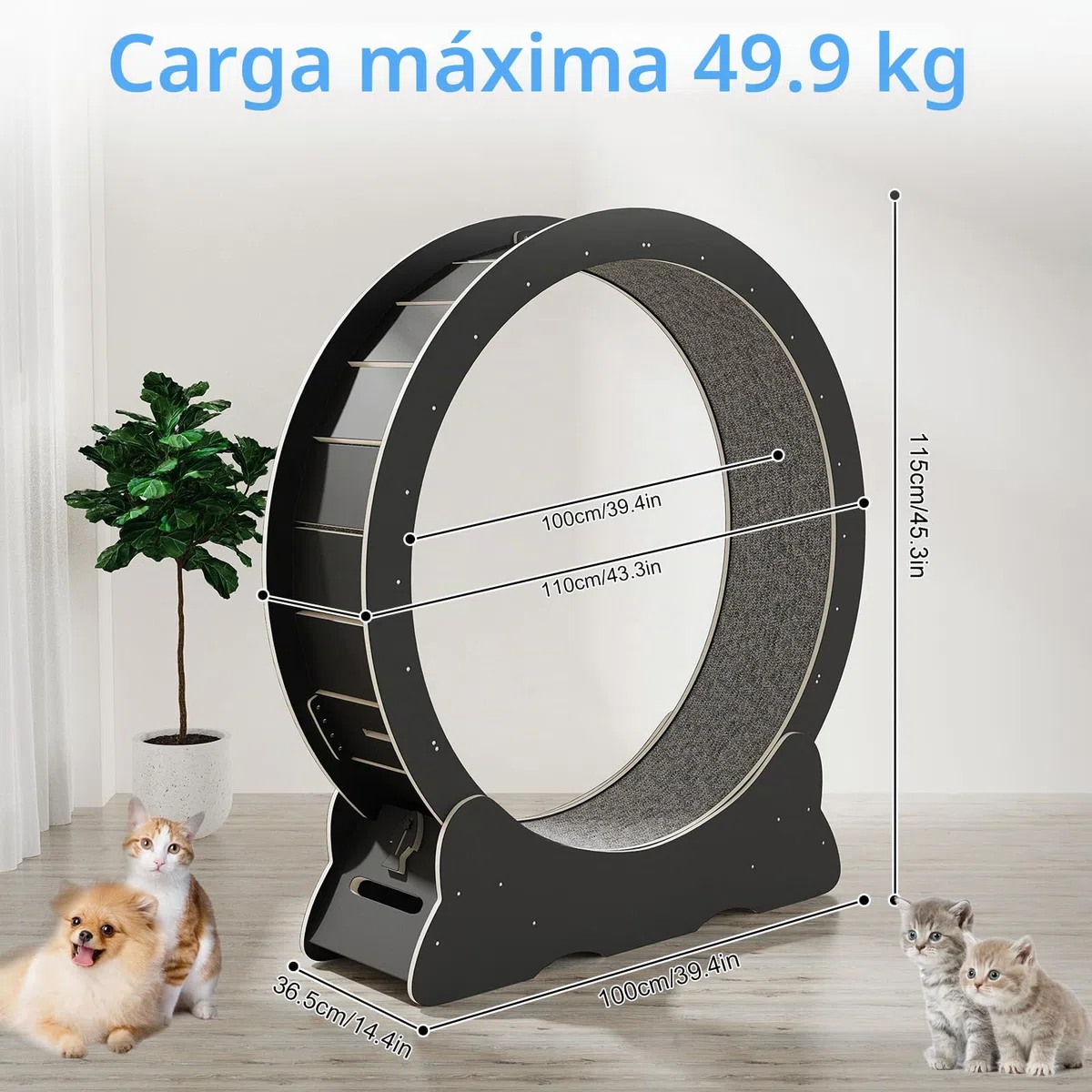 Rueda de Correr para Gatos, 110cm Rueda para Gatos de Madera, Grande Rueda Ejercicios de Gatos de Interior, Súper Silencioso, Juguete para Mascotas Gatos (Negro)