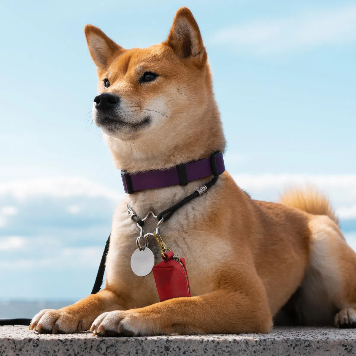 HIFA Soporte de piel auténtica para bolsas de excrementos de perro, soportes para bolsas de excrementos para correas, cuero rústico suave al tacto, clips de metal y fácil acceso a bolsas de basura de