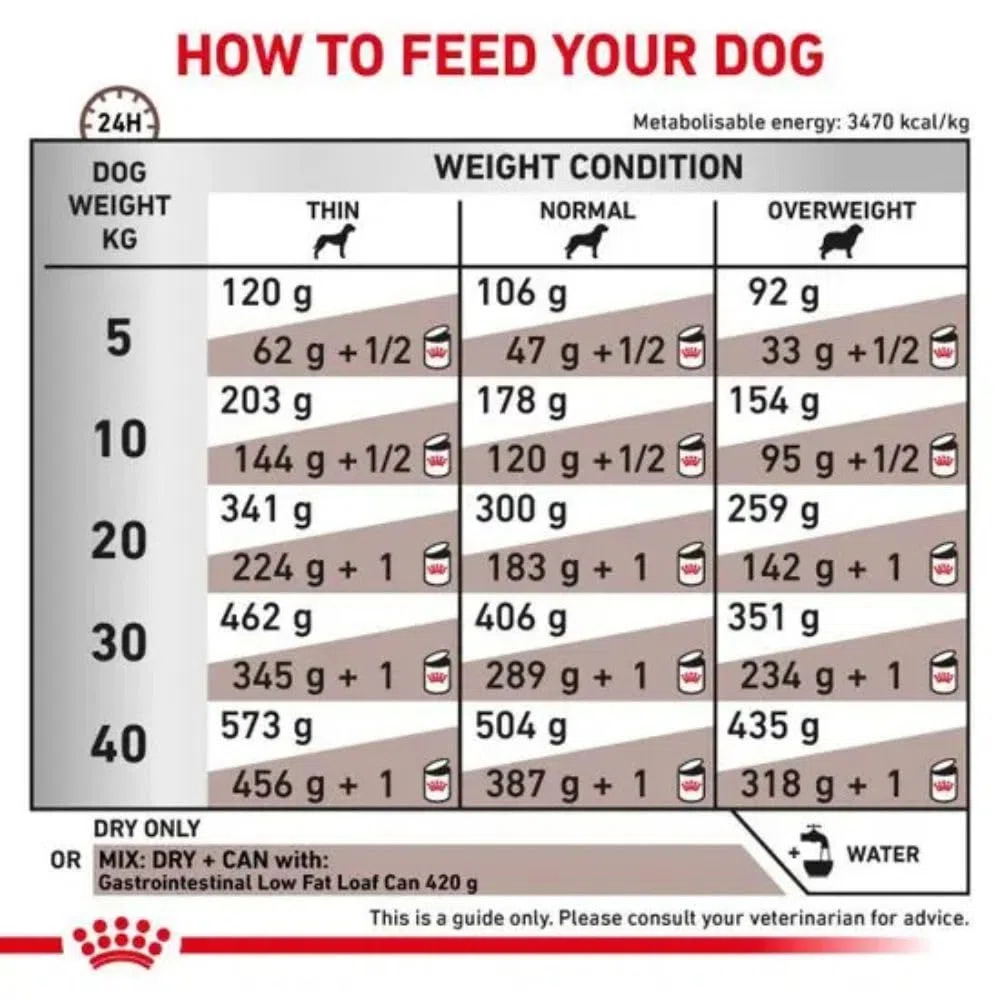 Royal Canin Veterinary Gastrointestinal Low Fat | 6 kg | Pienso Completo para Perros Adultos | Alimento seco para Ayuda digestiva | Bajo Contenido en Grasas