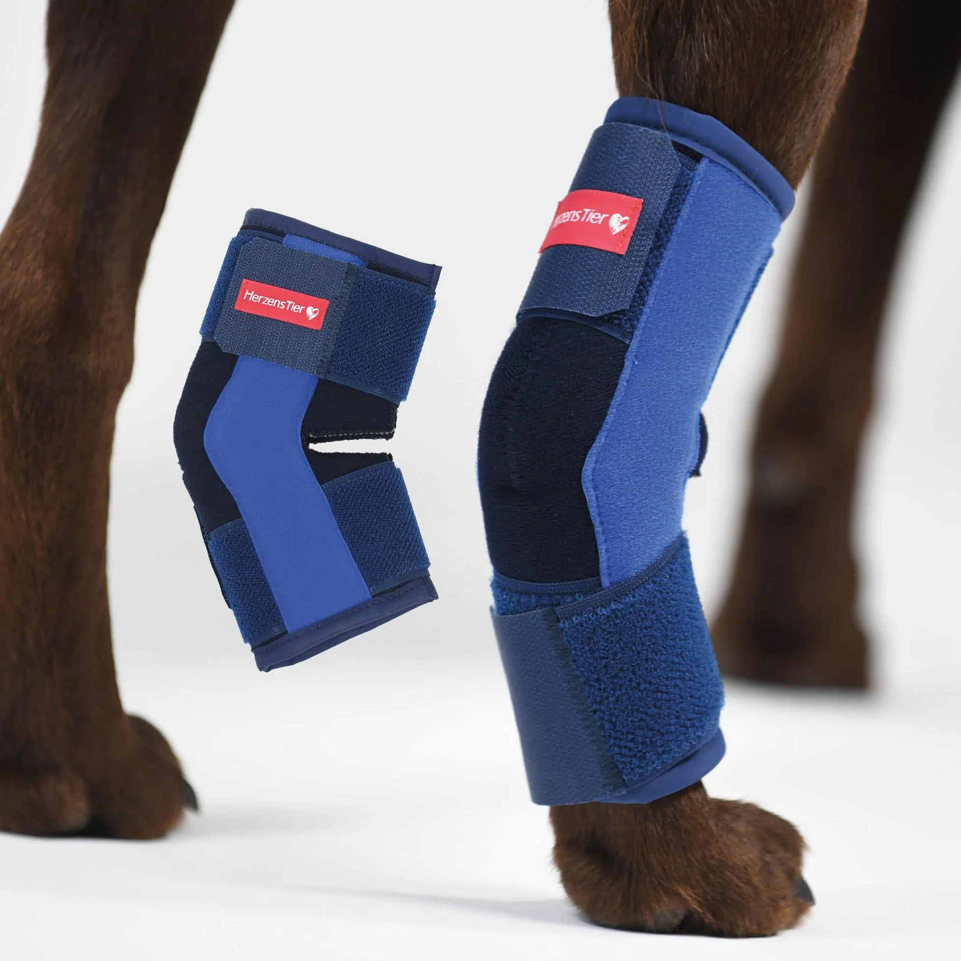 Vendaje de Corvejón de Espuma Talla L para Perros & Gatos – Transpirable con Férulas para el Soporte del Corvejón en Artrosis e Inestabilidad