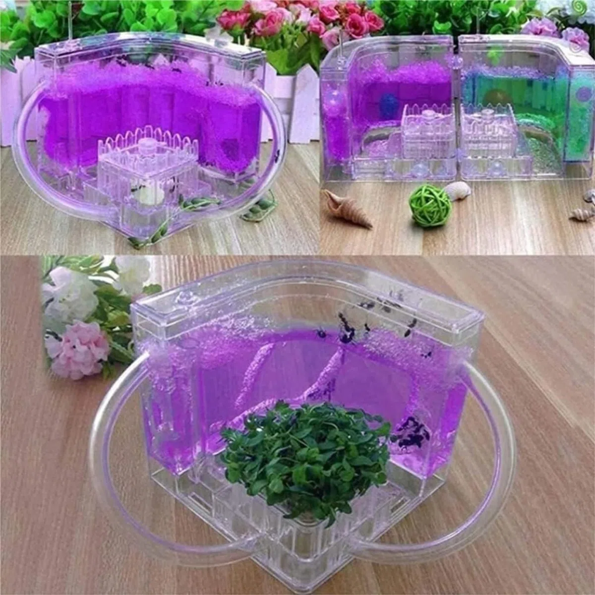 Acrylic Ant Castle