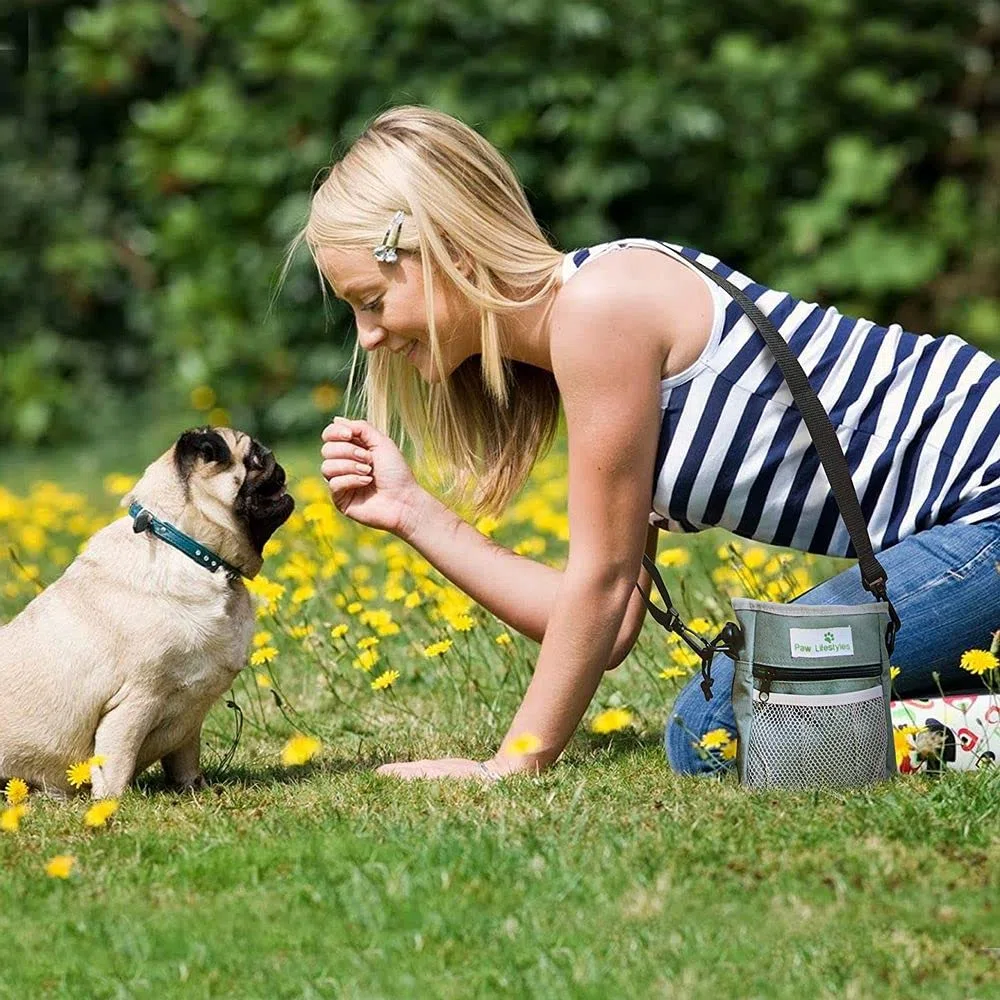 Bolsa De Entrenamiento De Golosinas para Perros - Lleva Fácilmente Juguetes para Mascotas, Croquetas, Golosinas - Dispensador De Bolsas De Caca Incorporado - 3 Formas De Usar - Gris
