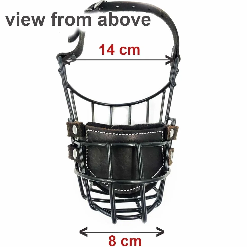 Bozal de Metal para Perro #37 para Amstaff y Pit Bull - Cesta de Alambre recubierta de plástico para Calavera Ancha - Correas de Cuero Transpirables y Ajustables