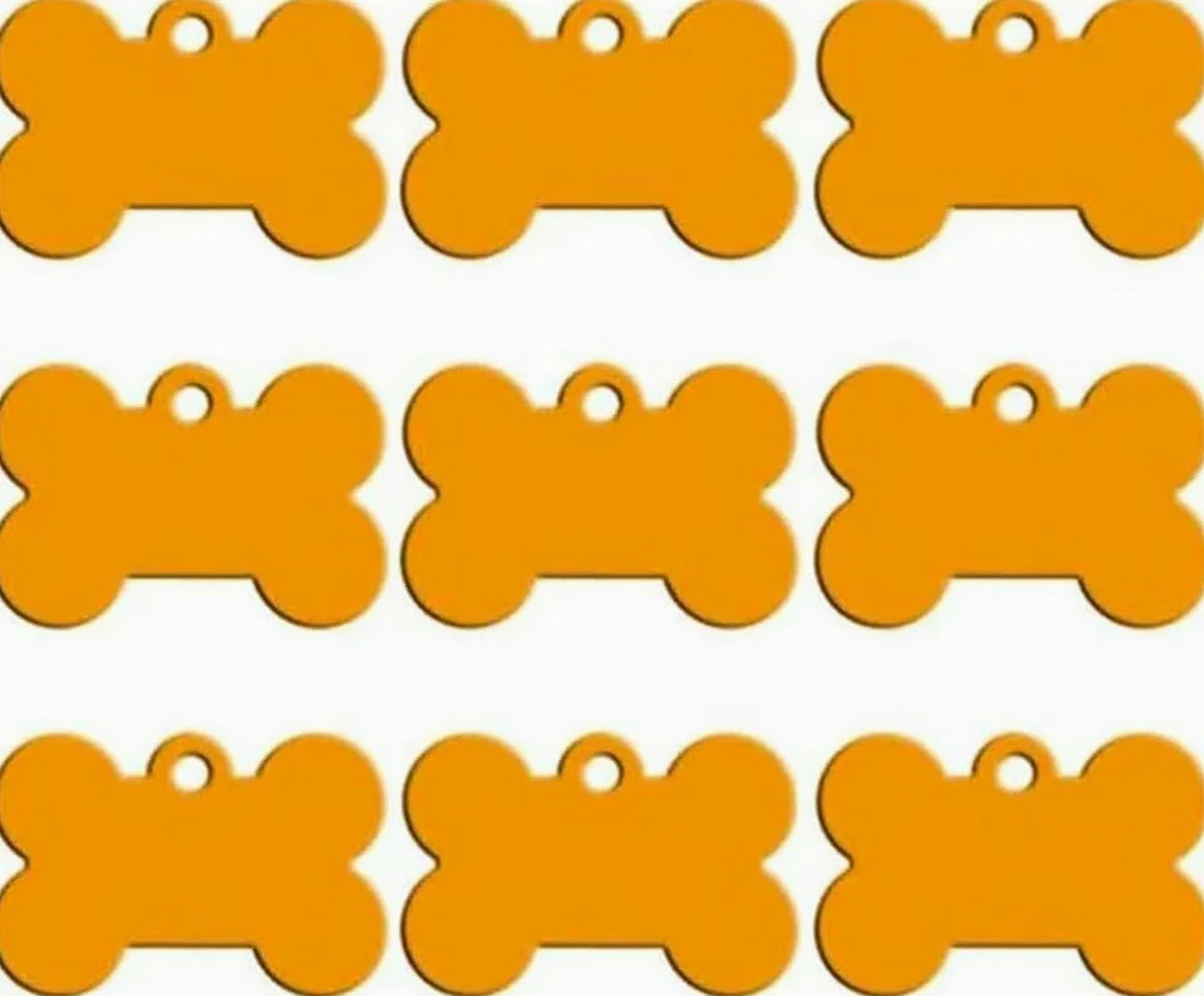 100 piezas de placa de identificación de perro en albo, placa de identificación de hueso de mascota grabada personalizada, placa de identificación de dirección de número de teléfono de perro y gato,