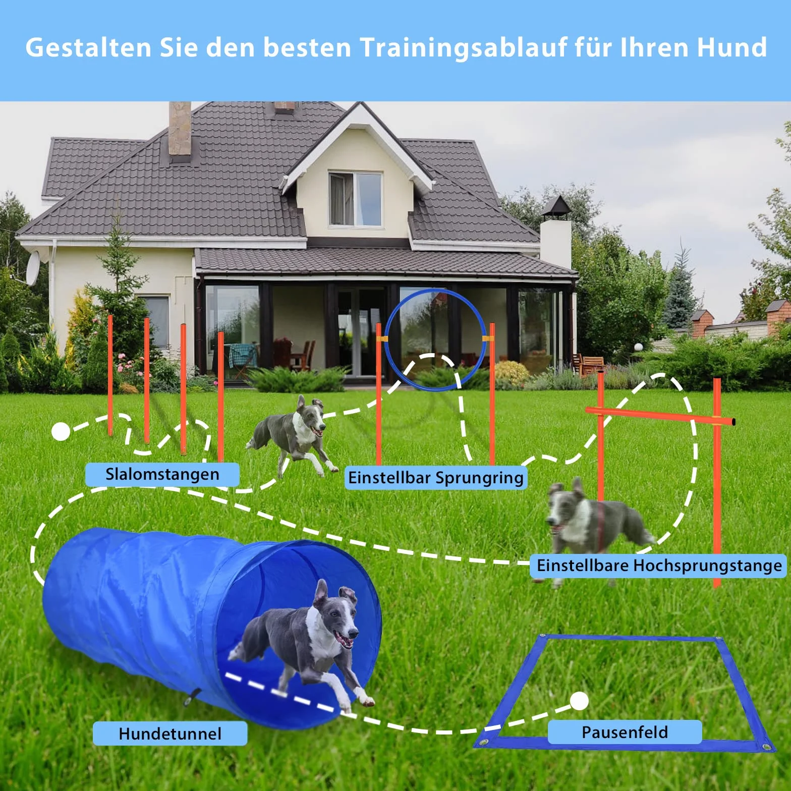 Agility Set de entrenamiento para perros con túnel para perros, obstáculos de altura ajustable, anillo de salto y varillas, juego de entrenamiento para mascotas, incluye bolsa de transporte
