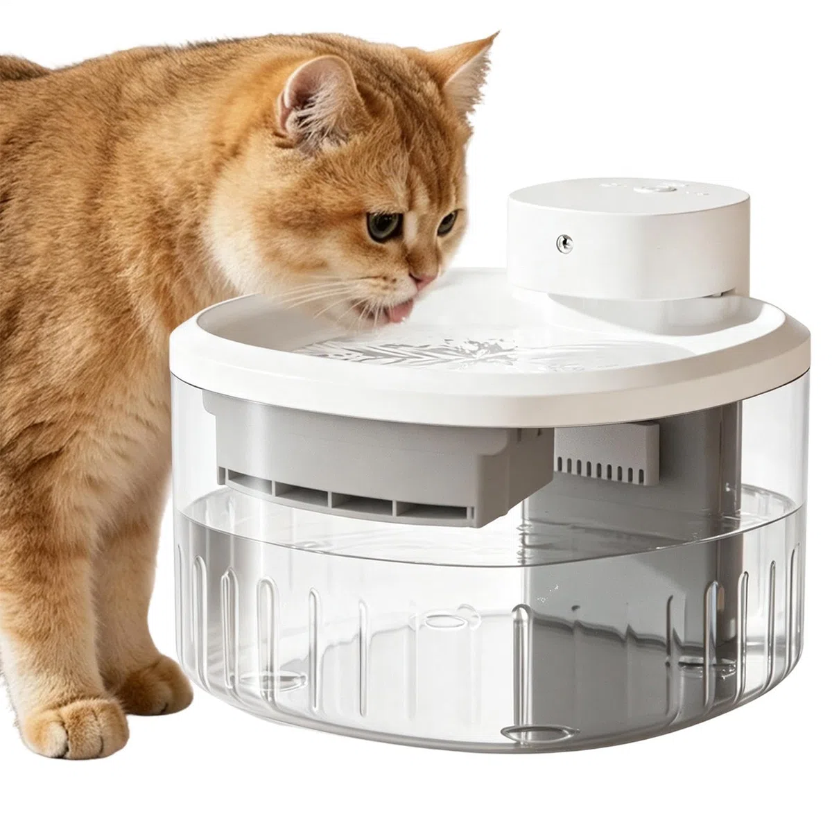 Fuente de Agua para Mascotas Dispensador silencioso 3,5 L Bebida semanal