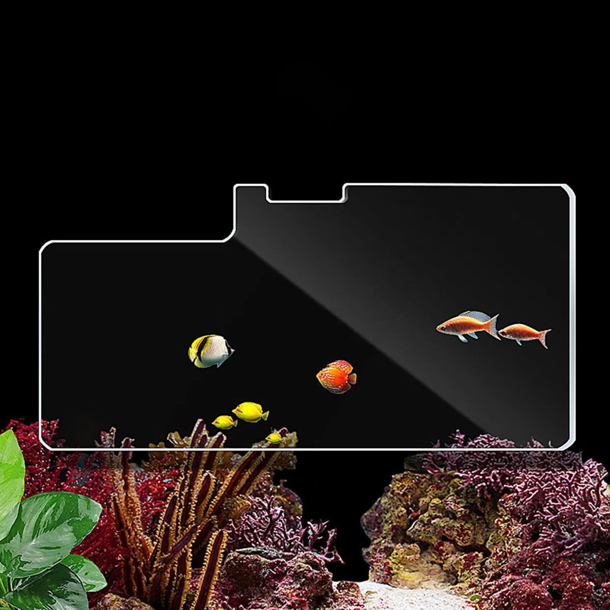 Tapa para Acuario, Tapa Acrílica, Tapa de Vidrio, Irrompible, Tapa para Acuario, Presentación de Acuario
