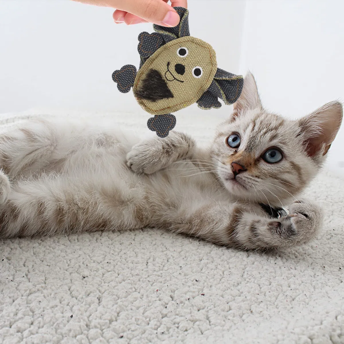 minkissy 15 Piezas Juguete para Gatos Divertidos Juguetes molares de Gatitos encantadores Juguetes para Gatos Juguetes para Perros pequeños Juguetes para Mascotas Resistentes a mordeduras