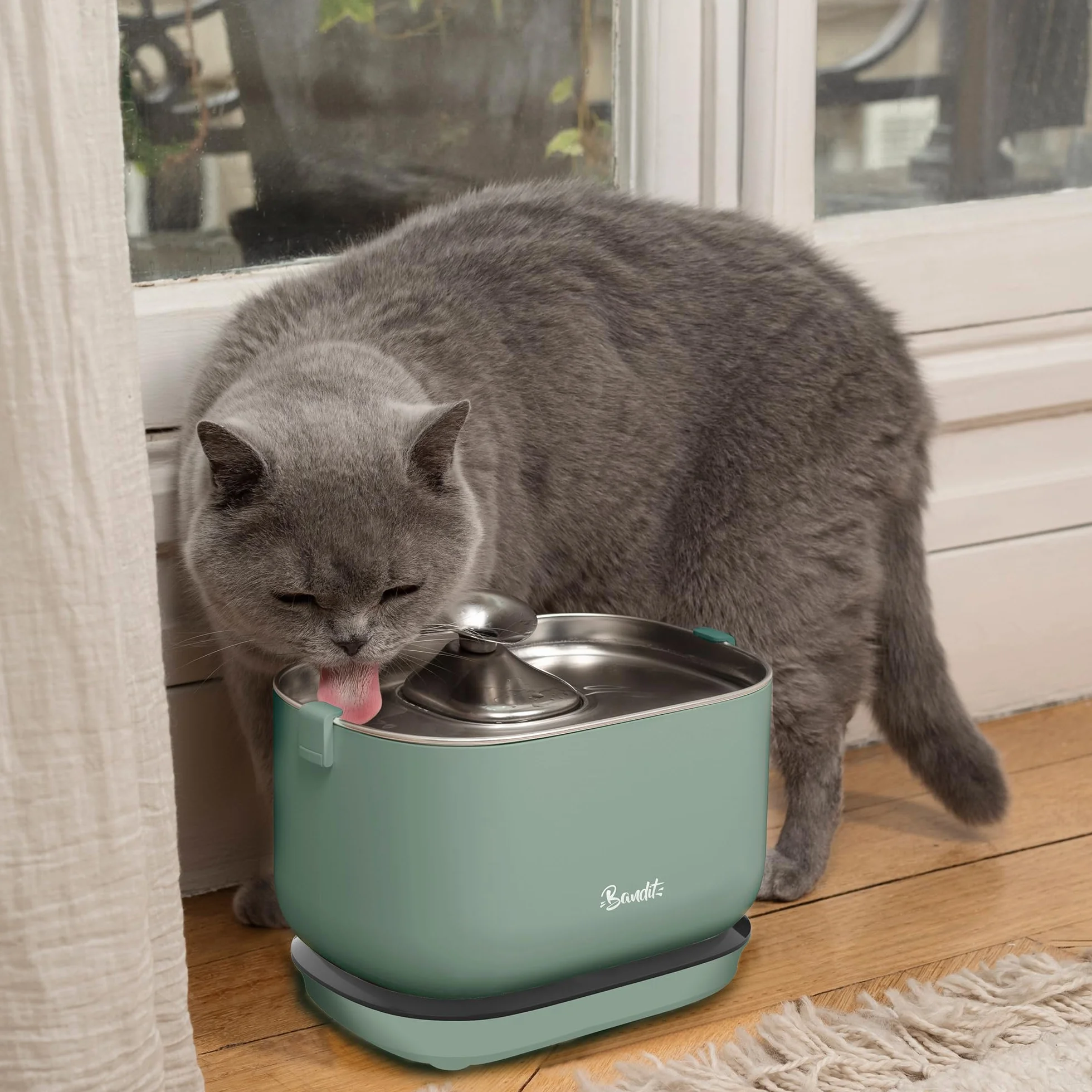 Bandit - Fuente de Agua Inalámbrica para Gatos 2,5L - Autonomía 30 Días - Filtración de 4 Etapas - Detector de Movimiento Inteligente - Ultra silenciosa menos de 30dB - Acero Inoxidable - Verde