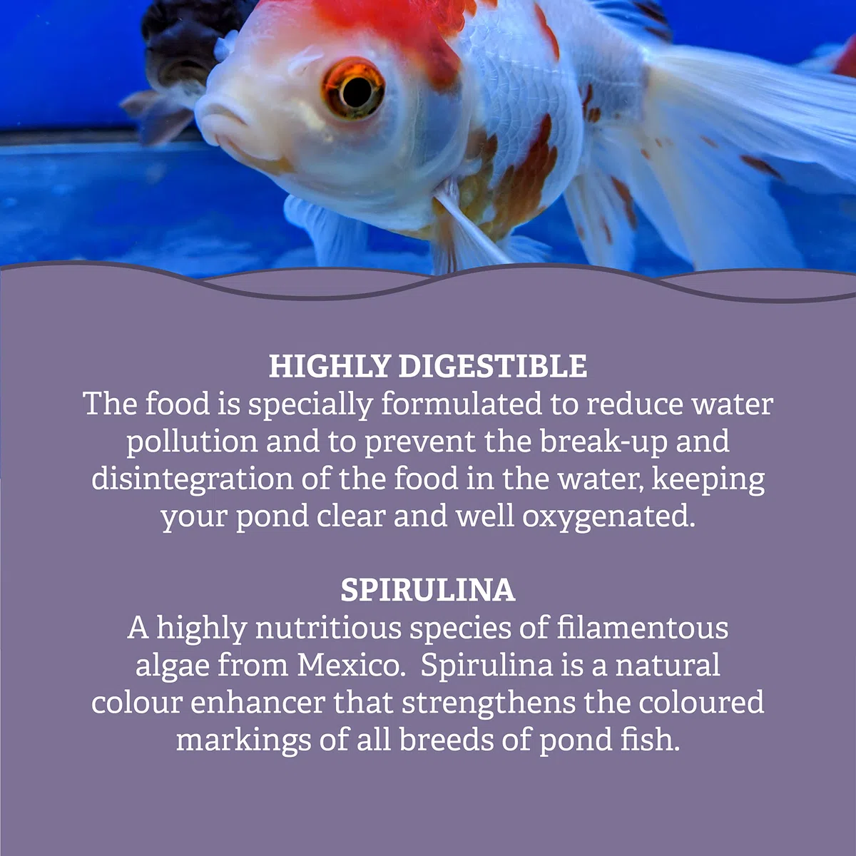 Pets Choice | Alimento para Peces, multipalitos | Flotante, Altamente digerible y no enturbiante | Espirulina añadida para Mejorar el Color (5 kg)