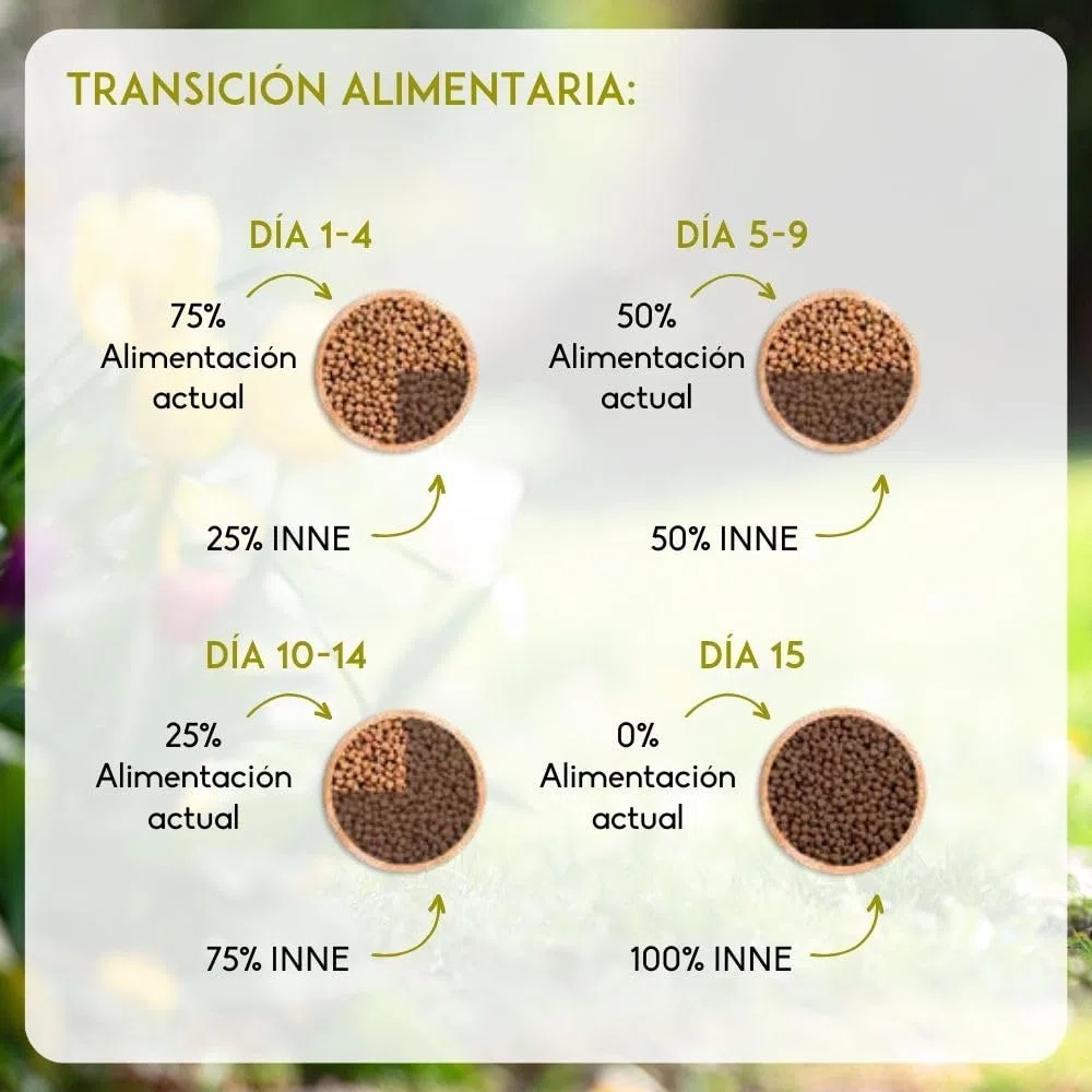 NUTRIVET - INNE Chat - Croquetas sin Cereales - Gato esterilizado o con sobrepeso - Pollo - 80% Ingredientes de Origen Animal - 6kg