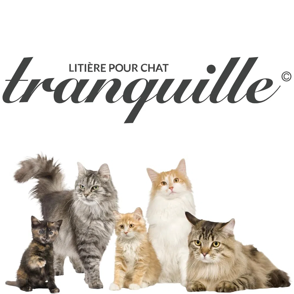 Tranquilo Gatos esterilizados – 6,1 litros – Juego de 3