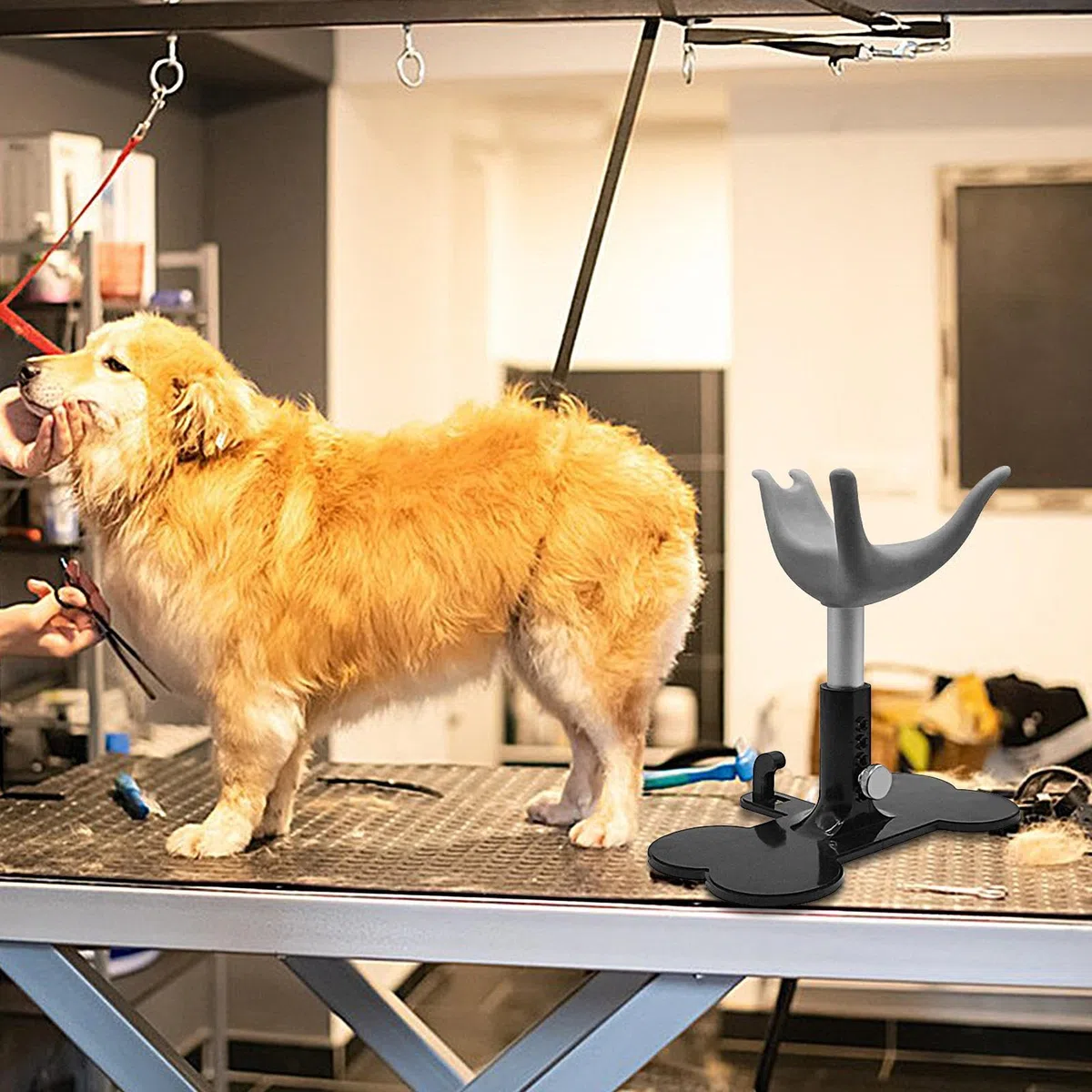 Genérico Silla De Aseo para Perros Pequeños - Soporte para Corte de Cachorros | Escalera Plataforma de Altura Ajustable para Baño, Corte y Peluquería Canina