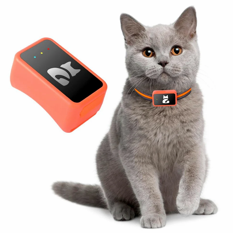 Localizador GPS para perros y gatos impermeable con aplicación gratuita – Seguimiento en tiempo real, alarma perimetral, historial de desplazamientos funciona con tarjeta Nano SIM 4G