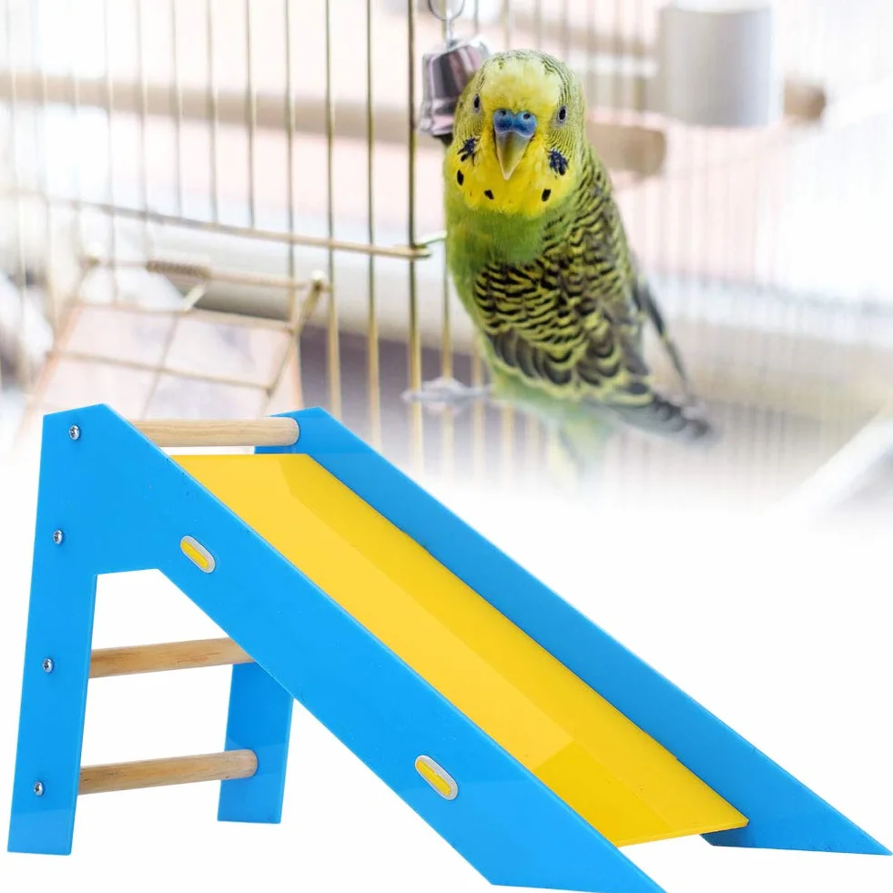 Juguetes de Diapositivas de Loro Entrenamiento de Aves Juguetes educativos Escaleras de Escalada de Loros Perchas Juguetes para Periquito Budgie Cockatiel Conure Lovebird Finch