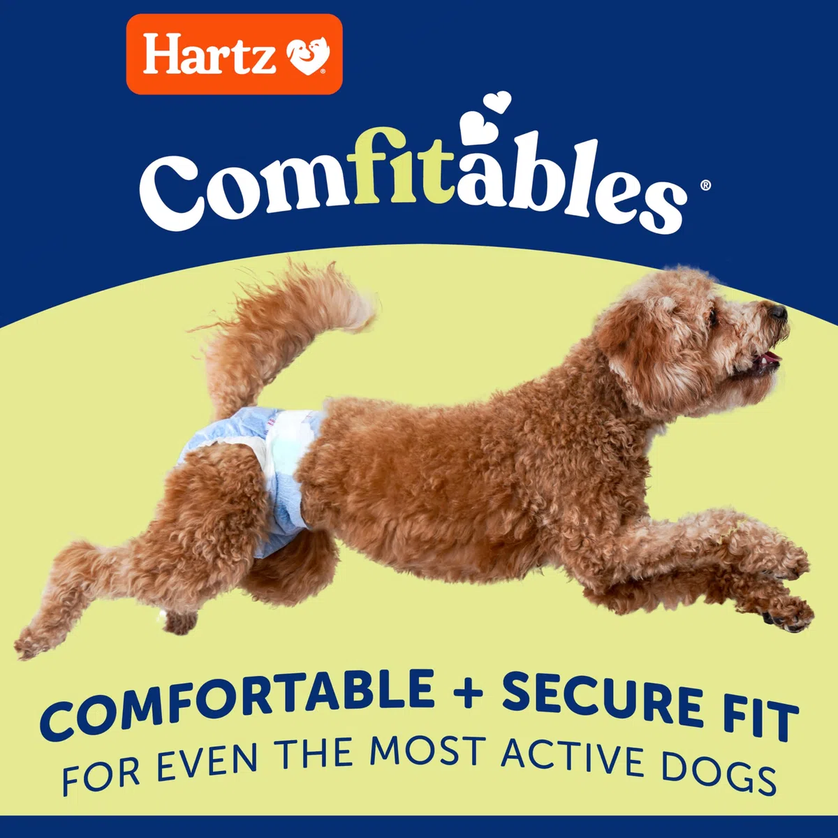 - Pañales Desechables para Perros Hartz Comfitables, Ajuste cómodo y Seguro, fáciles de Poner, pañales súper absorbentes para Perros y Hembras, Talla XS, 38 Unidades