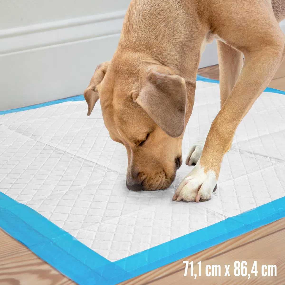 Four Paws Wee-Wee - Almohadillas para orina de rendimiento superior para perros con protección de borde de barrera de escorrentía, almohadillas de entrenamiento para cachorros y perros, suministros de