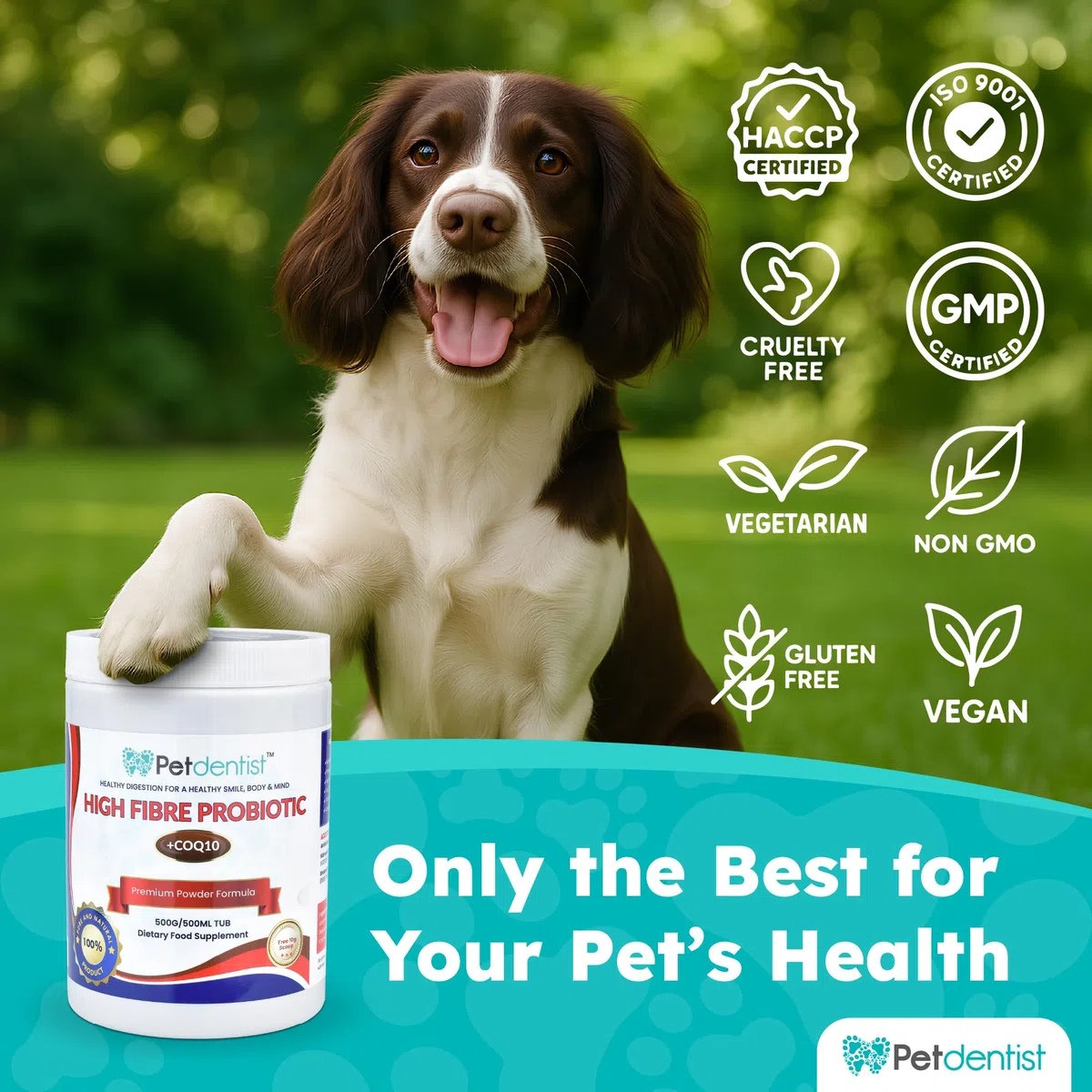 100% natural 500g probióticos con alto contenido de fibra para perros y gatos CoQ10, vitamina C, aminoácidos, minerales, enzimas ideal para la salud dental, cardiaca y digestiva
