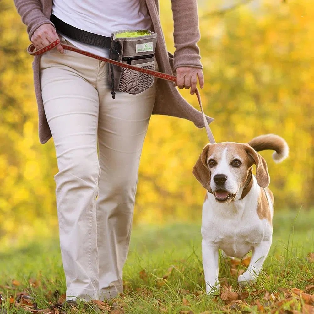 Bolsa De Entrenamiento De Golosinas para Perros - Lleva Fácilmente Juguetes para Mascotas, Croquetas, Golosinas - Dispensador De Bolsas De Caca Incorporado - 3 Formas De Usar - Gris