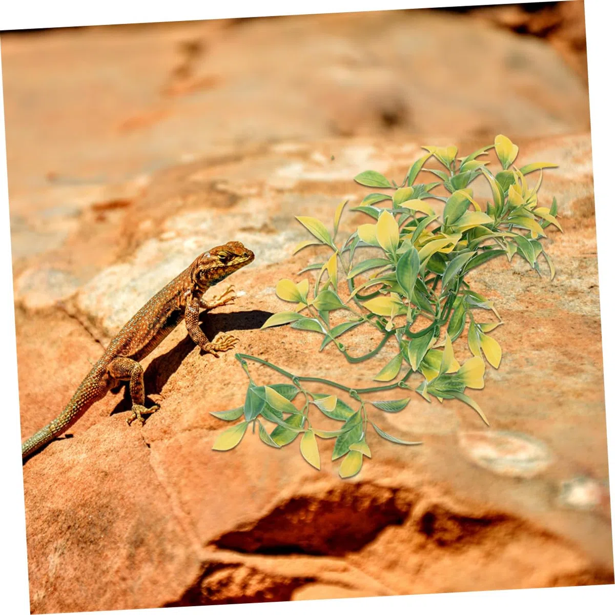 Plantas para Reptiles para Terrarios 6 Piezas Enredaderas Artificiales Colgantes de Plástico Decoración para Jaulas de Reptiles Accesorios para Terrarios sin Mantenimiento