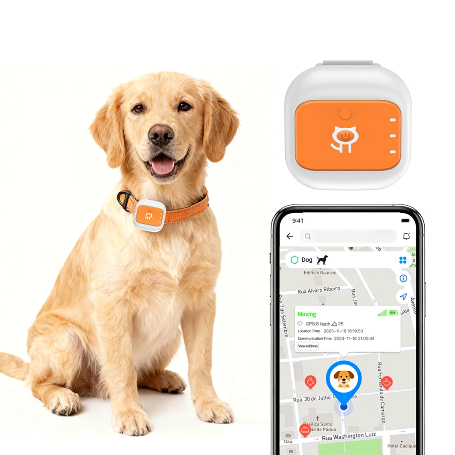 Jiawu Localizador GPS para Perros, Collar Inteligente con localización en Tiempo Real, localizador de Mascotas con alertas de Emergencia SOS y avisos de geovalla (Versión Eurasia África)