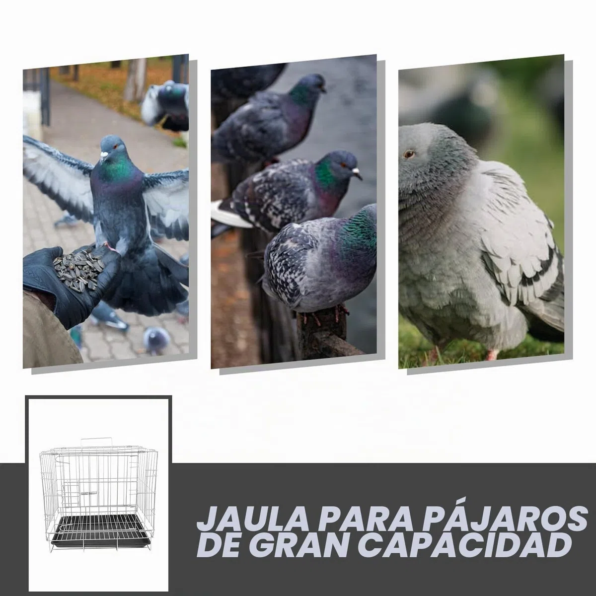Jaula de Cría para Palomas de Gran Capacidad 35x25x30 Cm, Acero Inoxidable Bandeja Extraíble, Jaula Espaciosa para Pájaros Domésticos y Suministros para Aves