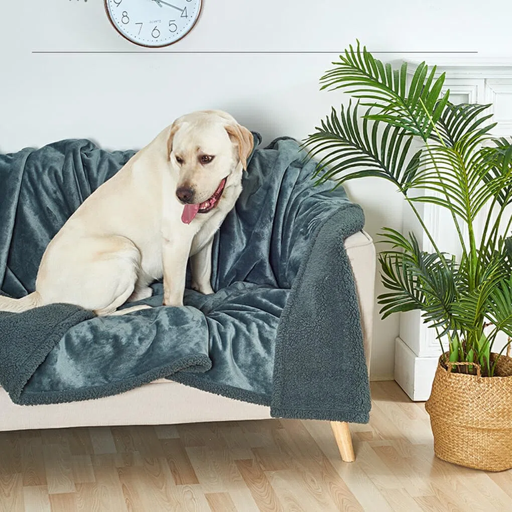 Manta para Mascotas para Perros y Gatos, Amplia aplicación, Adecuada para Todas Las Razas, Manta Impermeable para Perros, Manta para Gato, Negro XL