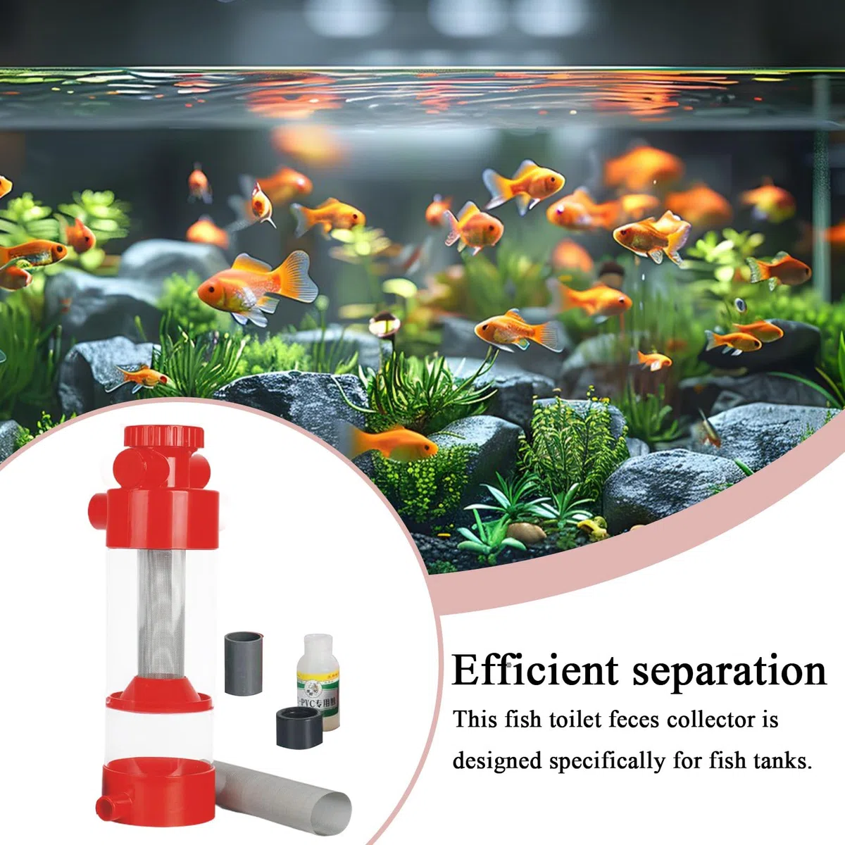 Filtro Recogedor de Cacas de Peces Recolector de Excrementos para Pecera | Separador Externo para Acuario Limpieza y Filtración