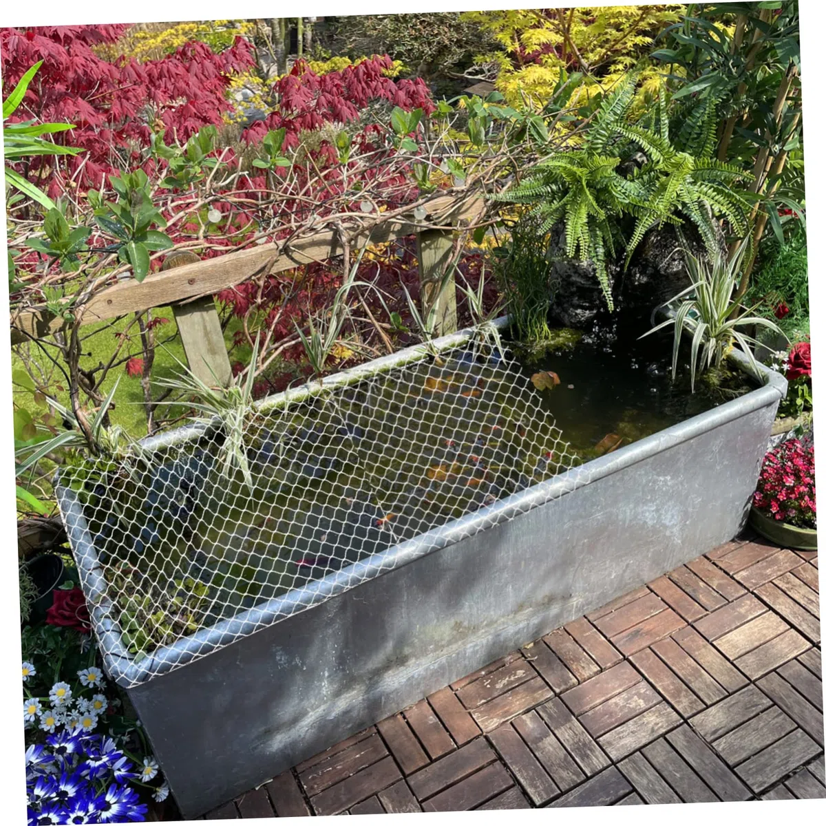 BESPORTBLE 5piezas Protección para Peces De Acuario Malla Transpirable y Transparente para Evitar Saltos y Escapes para Acuarios y Aves