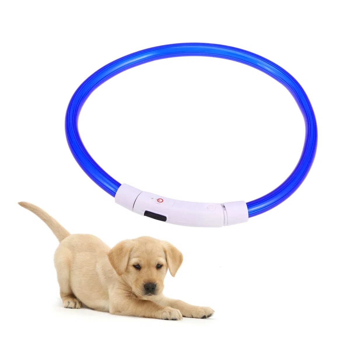 Angoily 3piezas Collar Led Recargable para Perros De Luz USB Modos De Parpadeo y Luz Fija para Paseos Nocturnos Seguridad para Mascotas Color Azul
