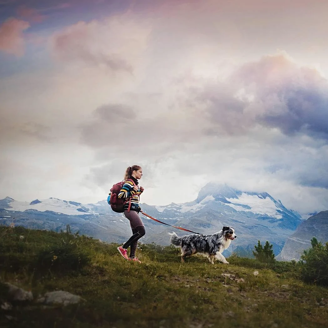 Cinturón de Trekking Nonstop para Perros - Ideal para Correr y Senderismo (M, Azul)