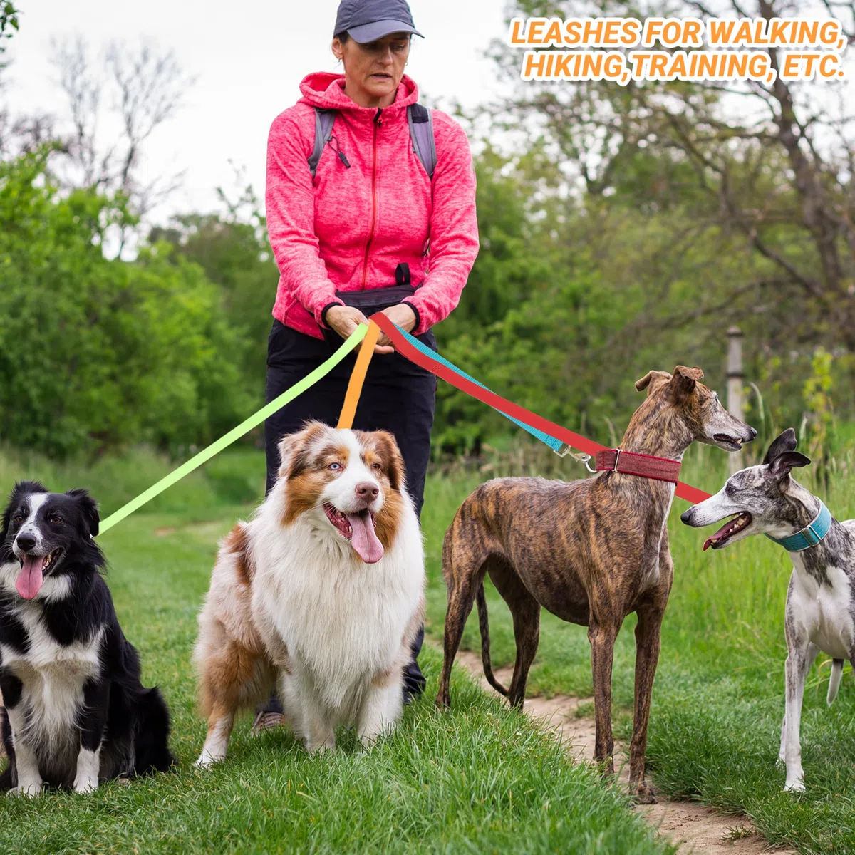 24 correas para perros pequeños, medianos y grandes, correa corta de 6 pies con gancho giratorio para caminar, entrenar, senderismo, rescate, aseo, refugio, al aire libre