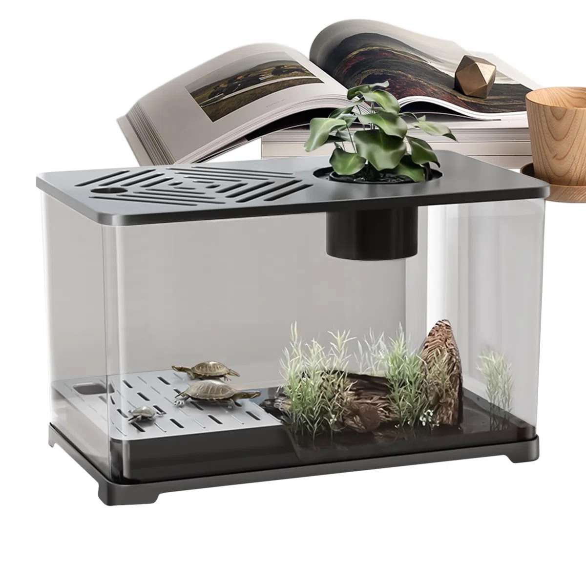 Betta - Set de acuario grande para peces, diseño panorámico moderno