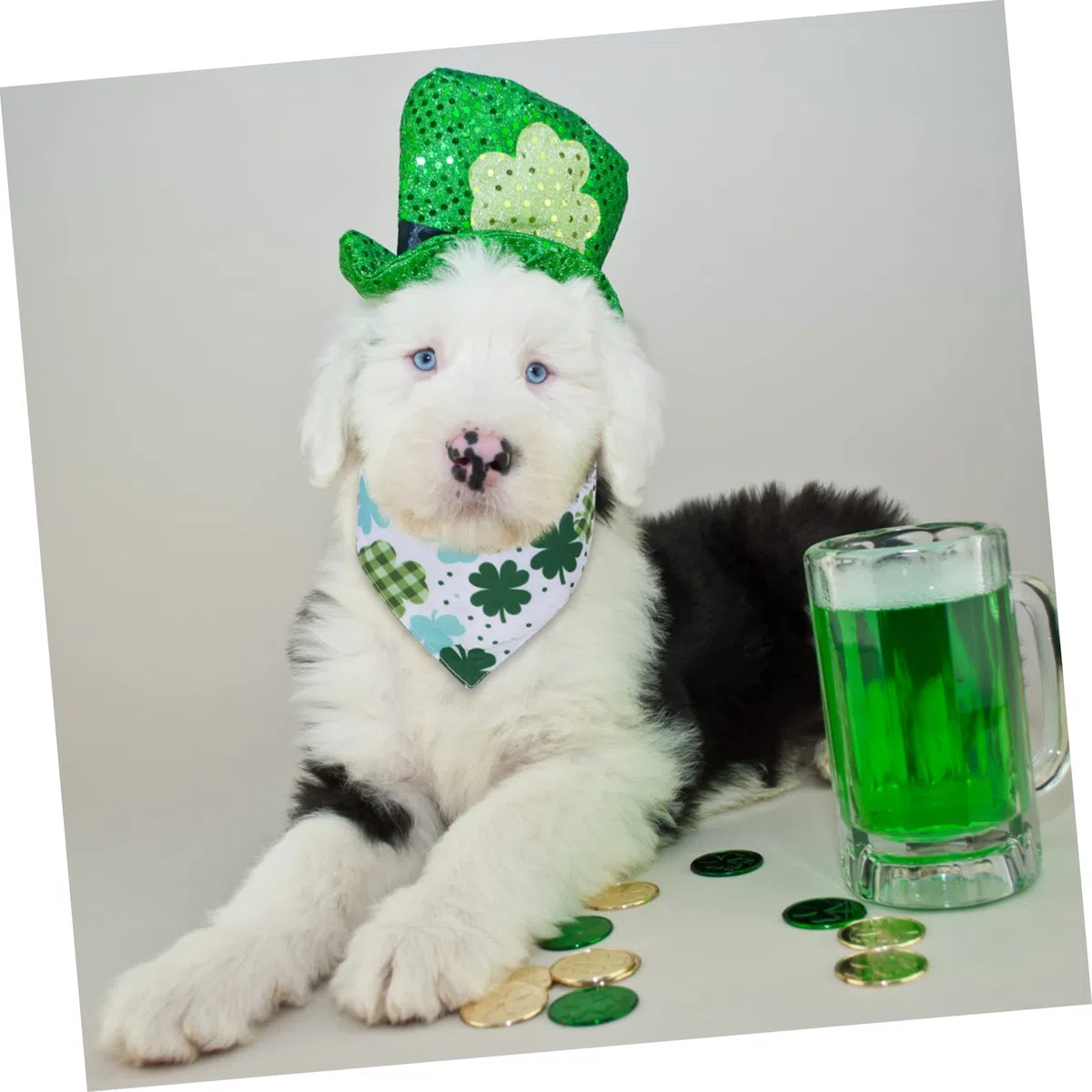 INOOMP 12piezas Bandanas para Bufandas para y Gatos Accesorios para Celebraciones y