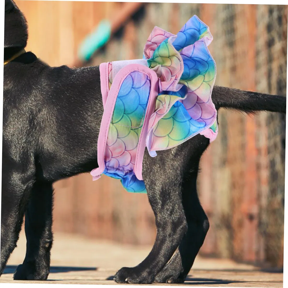 minkissy 4 Pantalones fisiológicos para Mascotas, para Perros machos, Pantalones de acoso para Perros, Pantalones físicos para Perros, Bragas sanitarias para Mascotas, Pantalones de Calor para