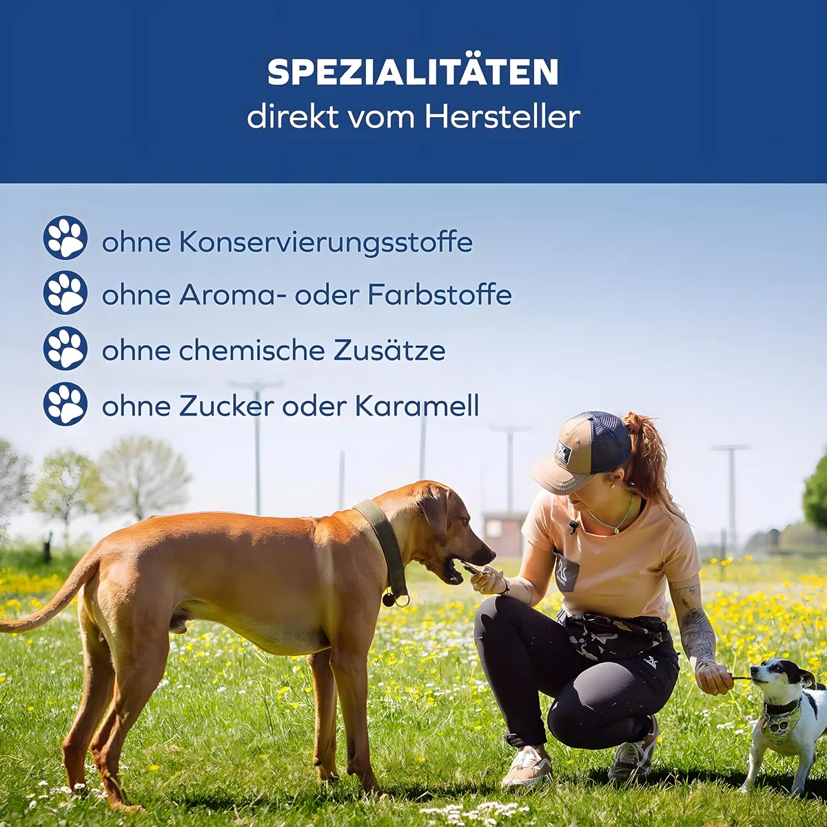 Rumano para perros seco – aperitivos para perros – Varillas saludables para masticar para perros 2500 g 20 cm