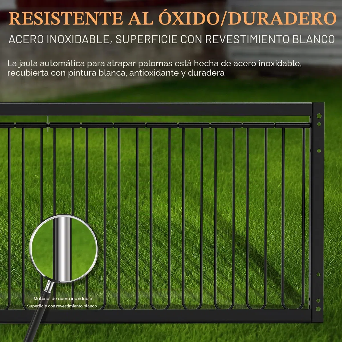 Jaula para palomas, 60 cm, para recoger codornices (negro)