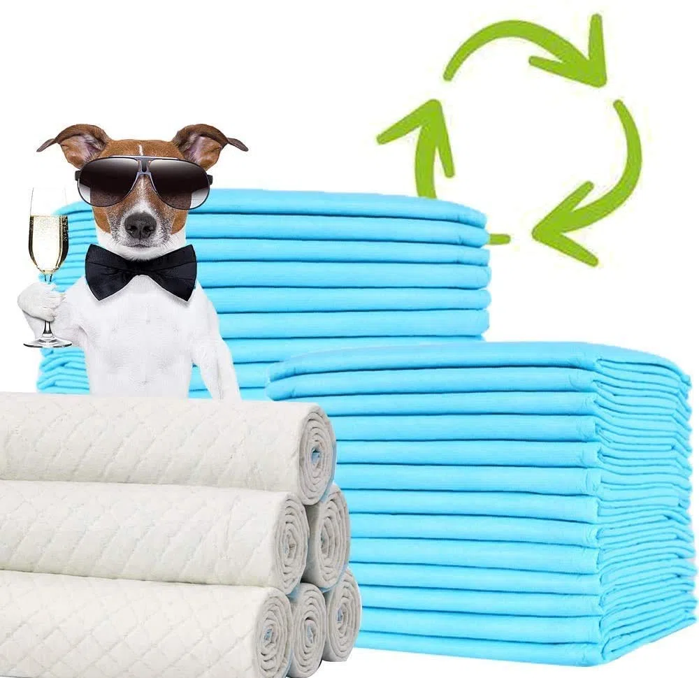 BPS 180x Empapadores Perros Gatos Alfombrilla Higiénica de Entrenamiento para Mascotas Ultra Absorbente 60cm*60cm BPS-2168 * 06…