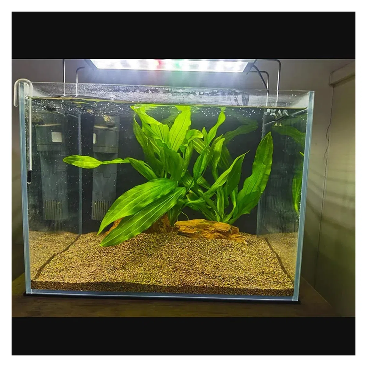 Fondo de Tanque de Peces de 100/200/500g, Piedra de Arena, Paisaje for Acuario, Corriente nativa, Piedra de Arena Natural, Accesorios de decoración DIY for jardín(4-18mm,500g)